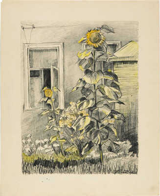 Чеботарёв Константин Константинович. Подсолнухи у окна 